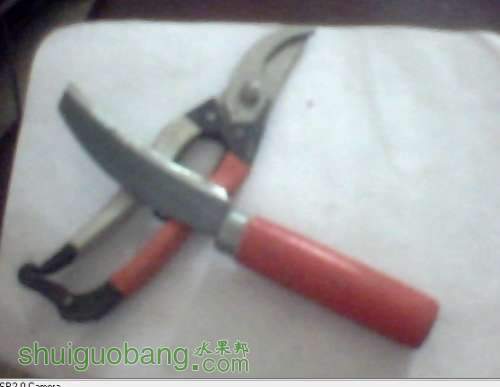 .jpg