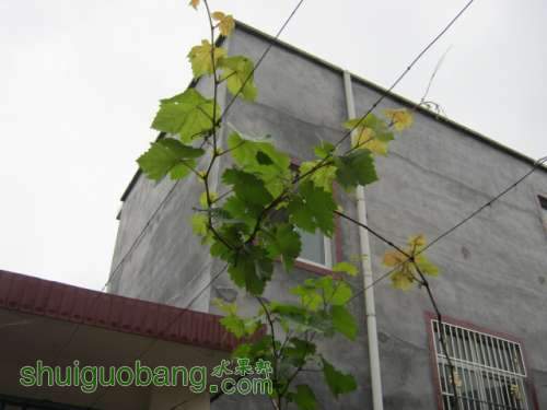 IMG_3938.JPG