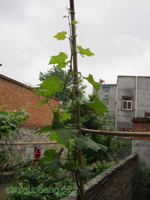 IMG_3956.JPG
