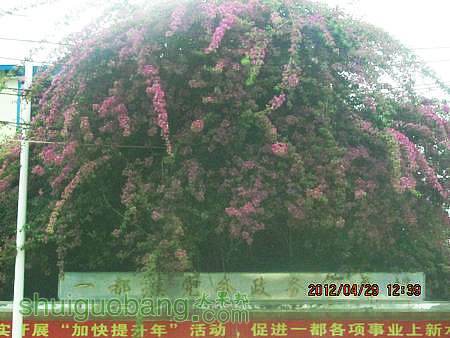 IMG_8301.JPG