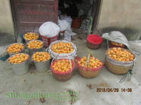 IMG_8562.JPG
