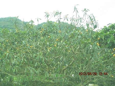 IMG_8318.JPG