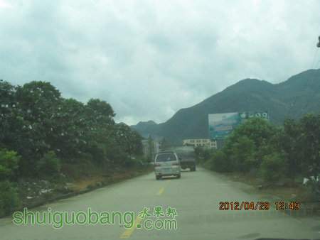 IMG_8330.JPG