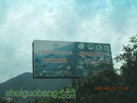 IMG_8331.JPG