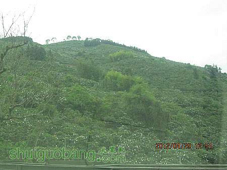 IMG_8334.JPG