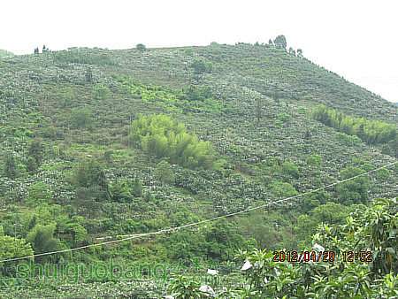 IMG_8338.JPG