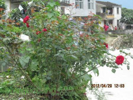 IMG_8339.JPG