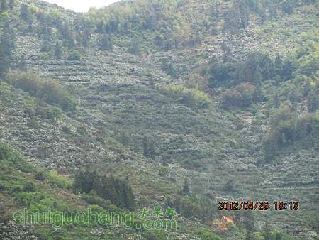 IMG_8398.JPG