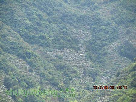 IMG_8406.JPG
