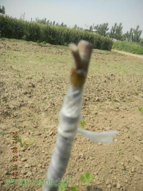 ƺӱ 005.jpg