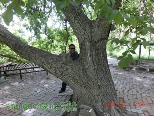 CIMG0571.JPG