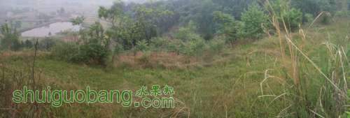 20120430_0357.jpg