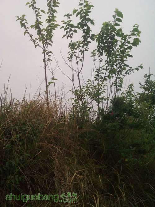 20120430_0376.jpg