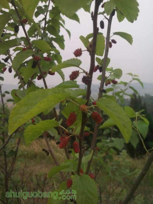 20120430_0385.jpg