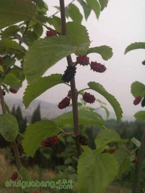 20120430_0386.jpg