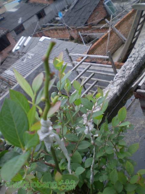 P1010001.jpg