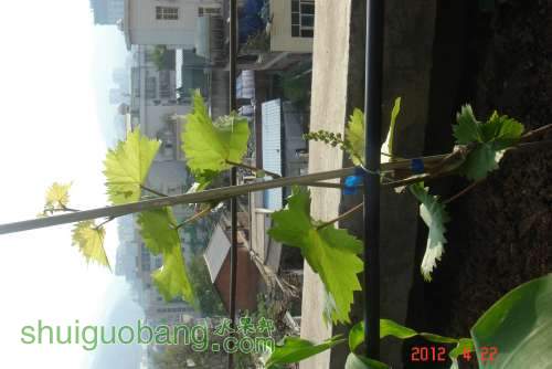 DSC00585.JPG