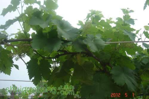 DSC00600.JPG