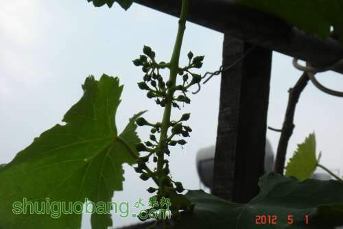 DSC00609.JPG