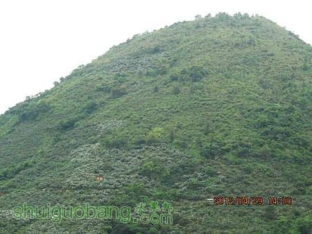IMG_8544.JPG