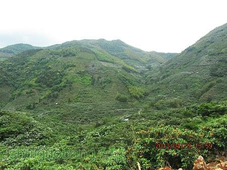 IMG_8534.JPG
