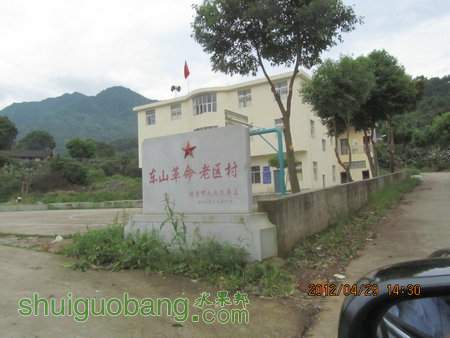 IMG_8587.JPG