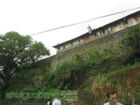 IMG_8595.JPG