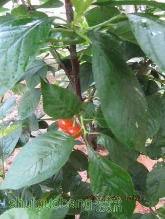 IMG_8940.JPG
