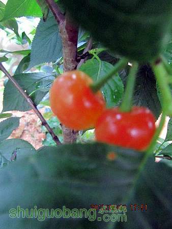 IMG_8942.JPG