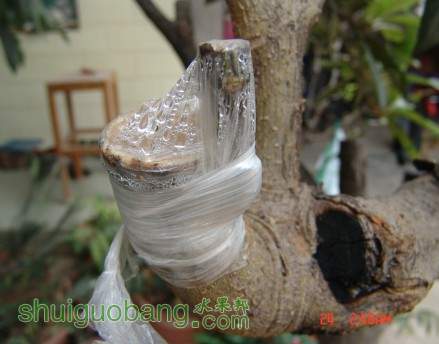 �����˸ռ޽�״��