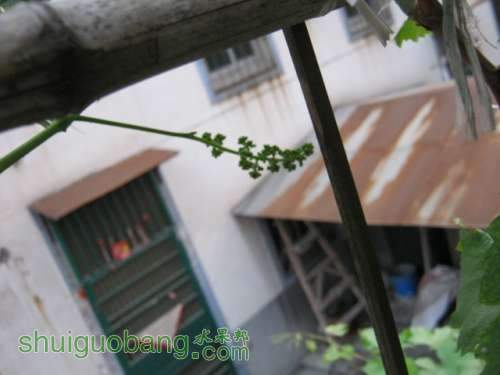 IMG_4370.JPG