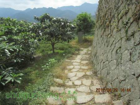 IMG_8637.JPG