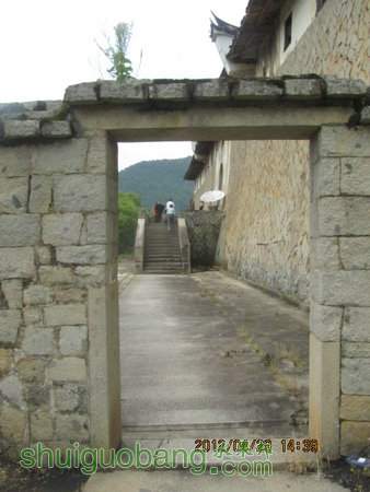 IMG_8611.JPG