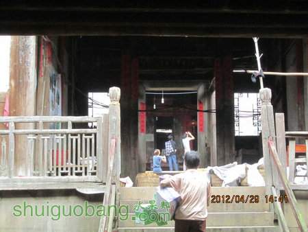 IMG_8620.JPG