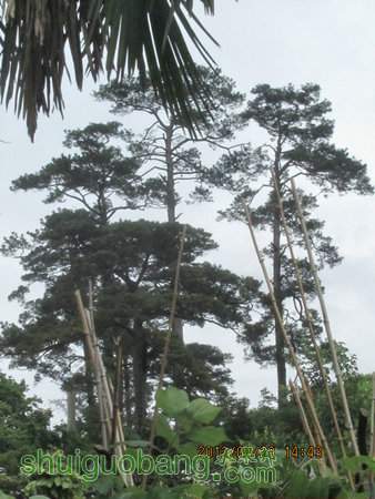 IMG_8628.JPG