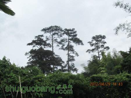 IMG_8629.JPG