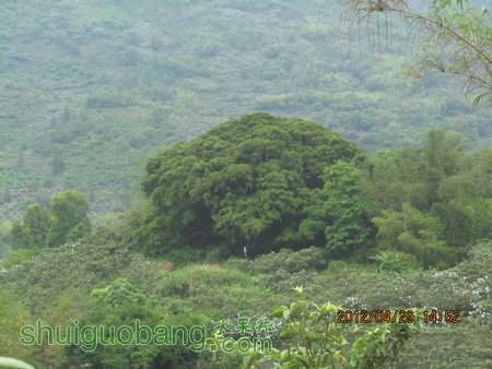 IMG_8653.JPG