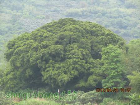 IMG_8654.JPG