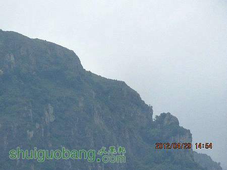IMG_8664.JPG