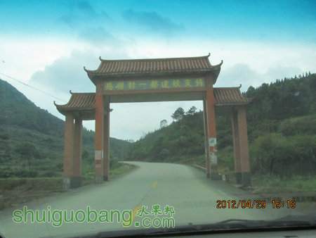 IMG_8697.JPG
