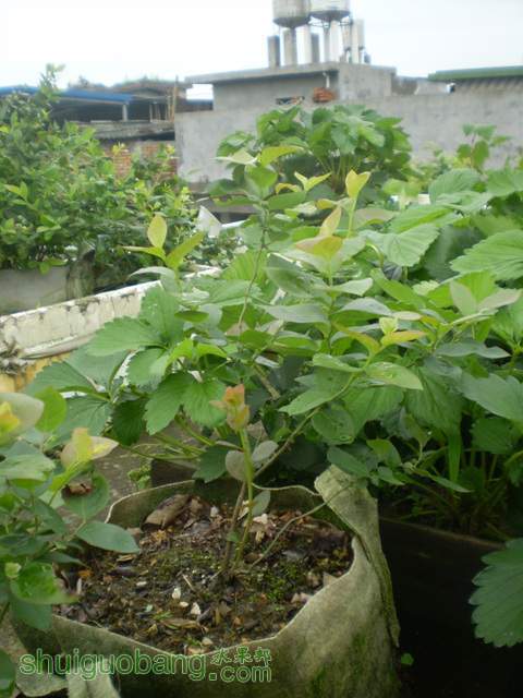 P1010018.jpg