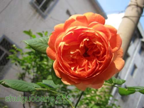 IMG_4396.JPG