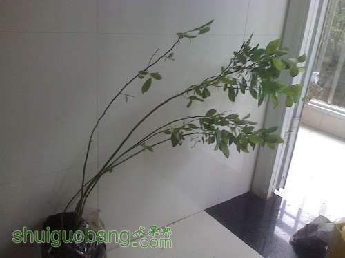 IMG0506110300,.jpg