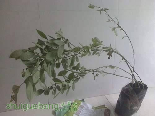 IMG0506105700....jpg
