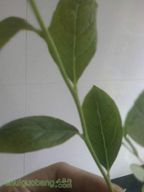 IMG0506105801...jpg