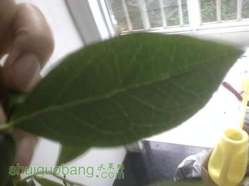 IMG0506110000...jpg