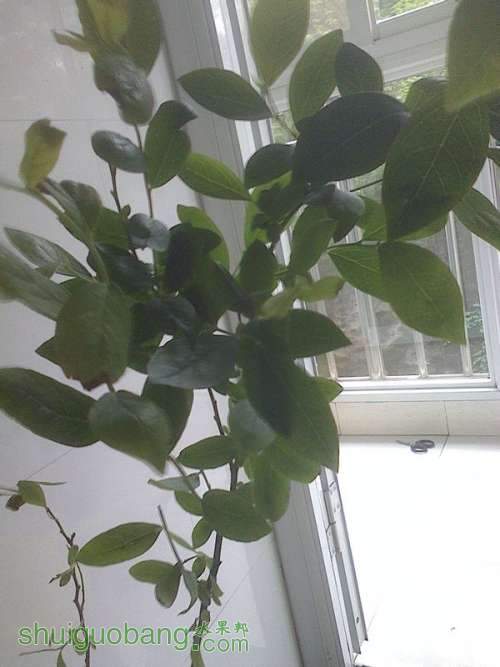 IMG0506110001...jpg