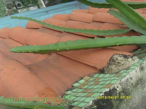 ������С SI853924.JPG