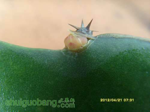 ������С SI853930.JPG