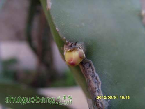 ������С SI854281.JPG